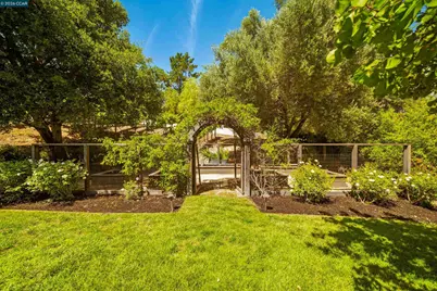 79 Jennifer Lane, Alamo, CA 94507 - Photo 26