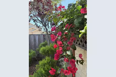217 Casa Verde Way, Monterey, CA 93940 - Photo 34