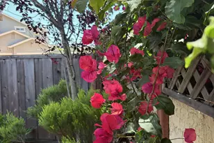 217 Casa Verde Way, Monterey, CA 93940 - Photo 34