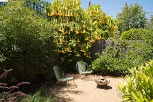 463 44th St, Oakland, CA 94609 - Photo 30