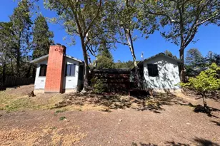 274 Orchard Rd, Orinda, CA 94563 - Photo 36