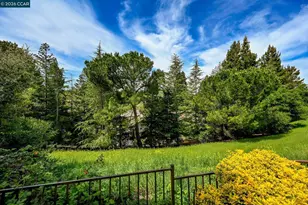 715 Blue Spruce Dr, Danville, CA 94506 - Photo 28