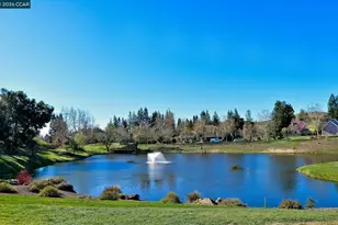 715 Blue Spruce Dr, Danville, CA 94506 - Photo 34