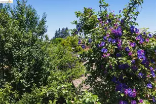 1116 20th St, Oakland, CA 94606 - Photo 30
