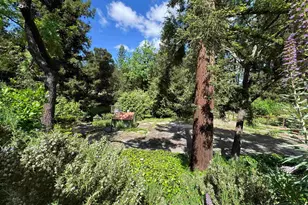 163 El Toyonal, Orinda, CA 94563 - Photo 44