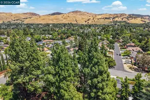 256 Mountaire Cir, Clayton, CA 94517 - Photo 72