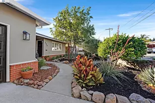 325 Polk Way, Livermore, CA 94550 - Photo 8