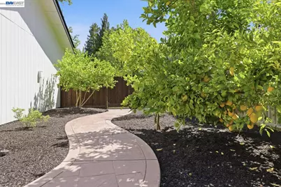 809 Contada Cir, Danville, CA 94526 - Photo 32
