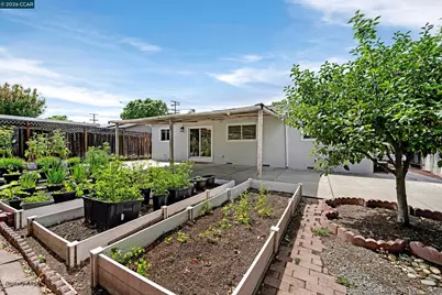 1446 Sunshine Dr., Concord, CA 94520 - Photo 34