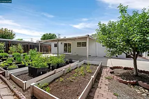 1446 Sunshine Dr, Concord, CA 94520 - Photo 34