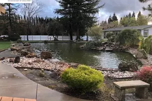 3263 Vineyard Ave, Pleasanton, CA 94566 - Photo 48