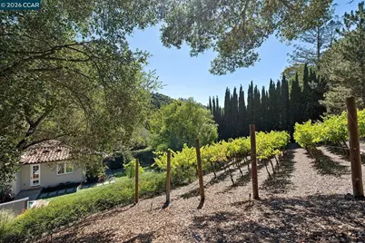 31 Sandy Ct, Orinda, CA 94563 - Photo 42