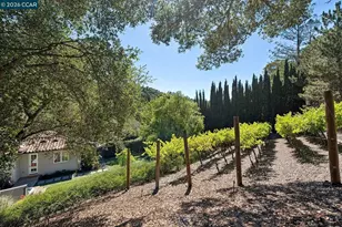 31 Sandy Ct, Orinda, CA 94563 - Photo 42