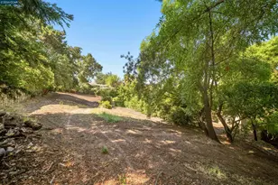 1290 Laverock Ln, Alamo, CA 94507 - Photo 24