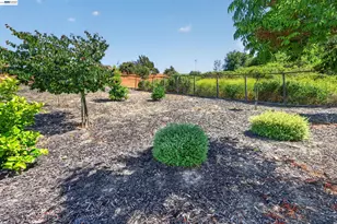 200 Cliffecastle, San Ramon, CA 94583 - Photo 76