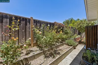 263 Tharp Dr, Moraga, CA 94556 - Photo 56