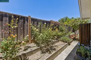 263 Tharp Dr, Moraga, CA 94556 - Photo 56
