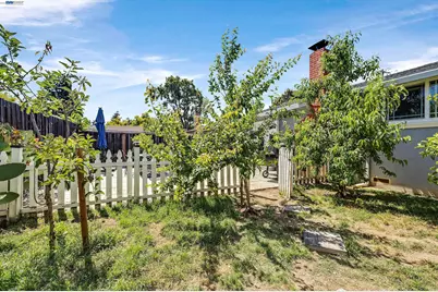 30532 Carroll Ave, Hayward, CA 94544 - Photo 16