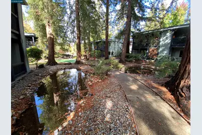 167 Rubicon Cir, Danville, CA 94526 - Photo 38