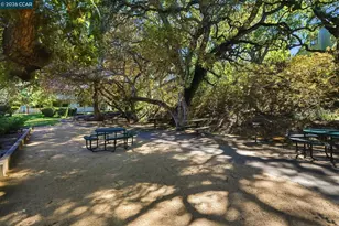 700 Suntree Ln, Pleasant Hill, CA 94523 - Photo 36