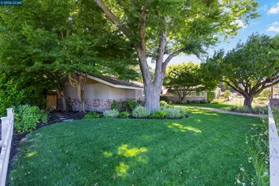 915 Forest Ln, Alamo, CA 94507 - Photo 4