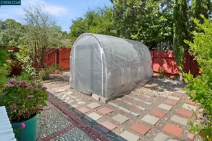 3131 Cowell Rd, Concord, CA 94518 - Photo 8