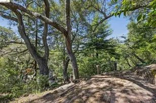 2380 Leimert Blvd, Oakland, CA 94602 - Photo 74