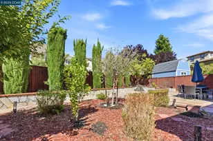 165 Paddington Ct, San Ramon, CA 94582 - Photo 38
