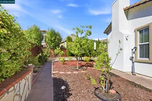 165 Paddington Ct, San Ramon, CA 94582 - Photo 40