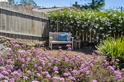 98 Fairlawn Dr, Berkeley, CA 94708 - Photo 70