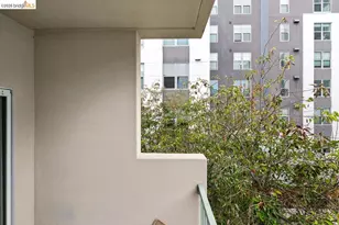 2029 Channing Way, Berkeley, CA 94704 - Photo 52