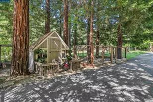 39 Comistas Ct, Walnut Creek, CA 94598 - Photo 70