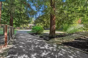 39 Comistas Ct, Walnut Creek, CA 94598 - Photo 68