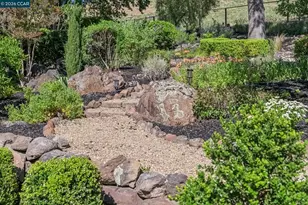 3211 Stone Valley Rd, Alamo, CA 94507 - Photo 74