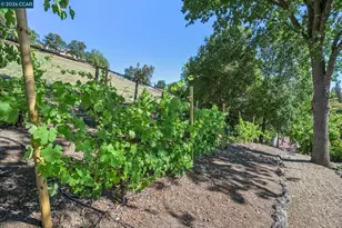 3211 Stone Valley Rd, Alamo, CA 94507 - Photo 80