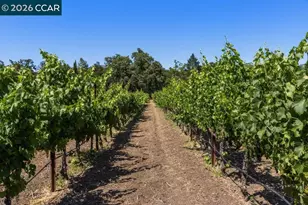 100 Foothill Blvd, Calistoga, CA 94515 - Photo 62
