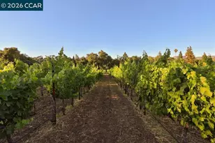 100 Foothill Blvd, Calistoga, CA 94515 - Photo 8