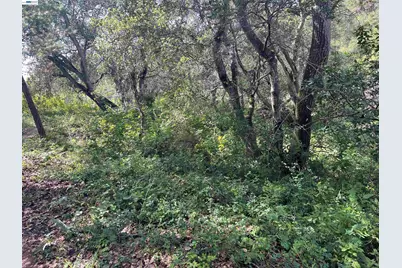 00 Marburger Ave., Belmont, CA 94002 - Photo 2