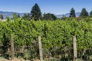 3248 Twin Oaks Dr, Napa, CA 94558 - Photo 60