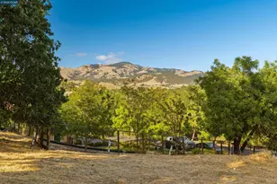 300 Marks Rd, Alamo, CA 94507 - Photo 14