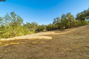 300 Marks Rd, Alamo, CA 94507 - Photo 6