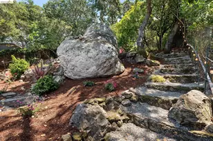 515 Vincente Ave, Berkeley, CA 94707 - Photo 72