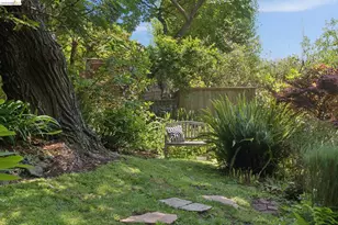 1090 Cragmont Ave, Berkeley, CA 94708 - Photo 78