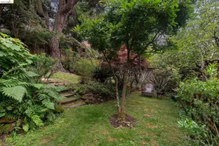 1090 Cragmont Ave, Berkeley, CA 94708 - Photo 84