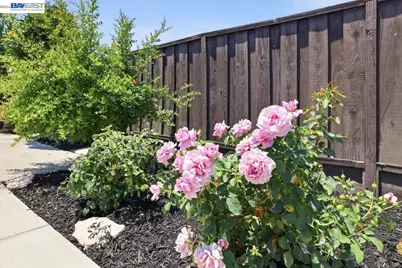 5619 Willkie Pl, Fremont, CA 94538 - Photo 34