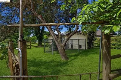 1590 Sunset Rd, Brentwood, CA 94513 - Photo 46