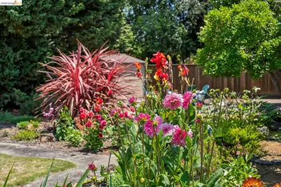 525 Dowling Blvd, San Leandro, CA 94577 - Photo 84