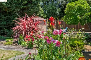 525 Dowling Blvd, San Leandro, CA 94577 - Photo 84