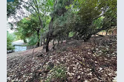 534 La Paloma Rd, El Sobrante, CA 94803 - Photo 10
