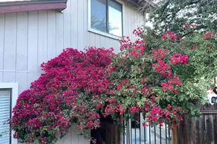 150 Pico Pl, Bay Point, CA 94565 - Photo 40